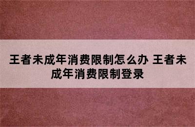 王者未成年消费限制怎么办 王者未成年消费限制登录